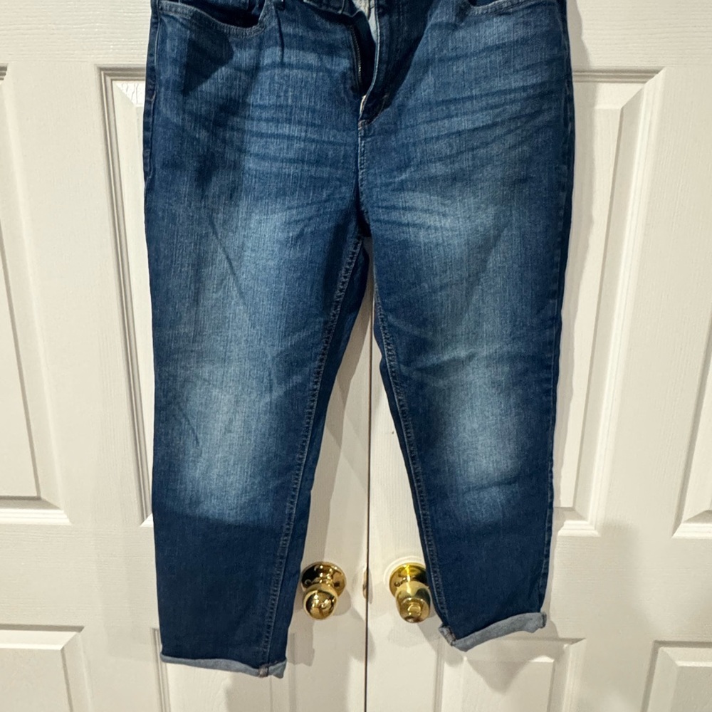 Banana Republic Dark Blue Ankle Jeans